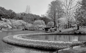 Hamamatsu Flower Park