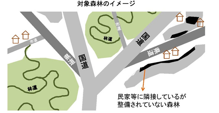 対象森林のイメージ