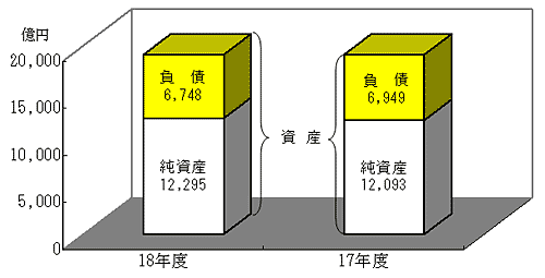 18年度と17年度の連結バランスシート比較のグラフ
