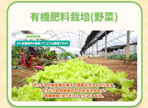 有機肥料にこだわりじっくり育つ野菜