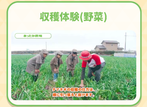 農業の面白さを発見！収穫体験