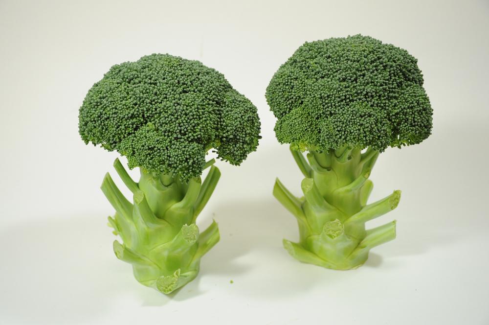 ブロッコリー