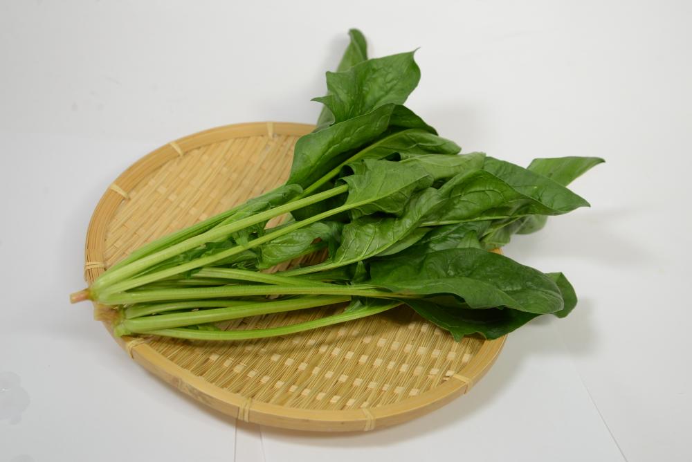 ホウレンソウ