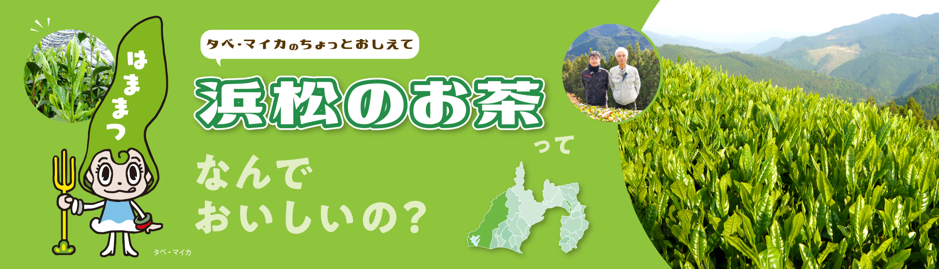 浜松のお茶ってなんでおいしいの?