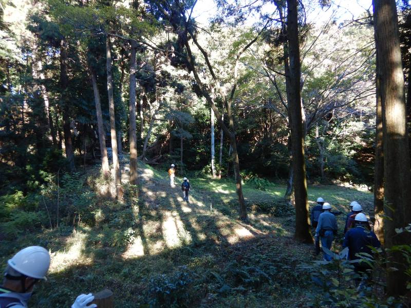 森の現地確認2
