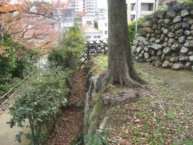 図：孕みの原因となっている樹木