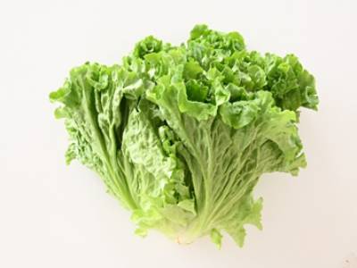 グリーンリーフ
