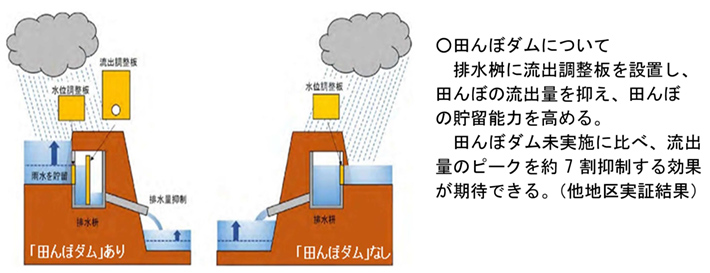 田んぼダムについて