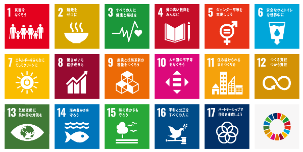 第5次SDGs