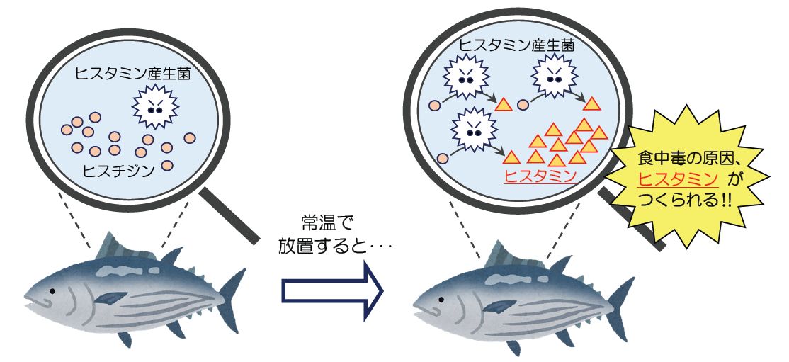 histamine_sanseikin_sj
