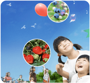 フルーツパーク