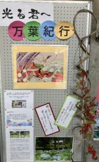 展示万葉