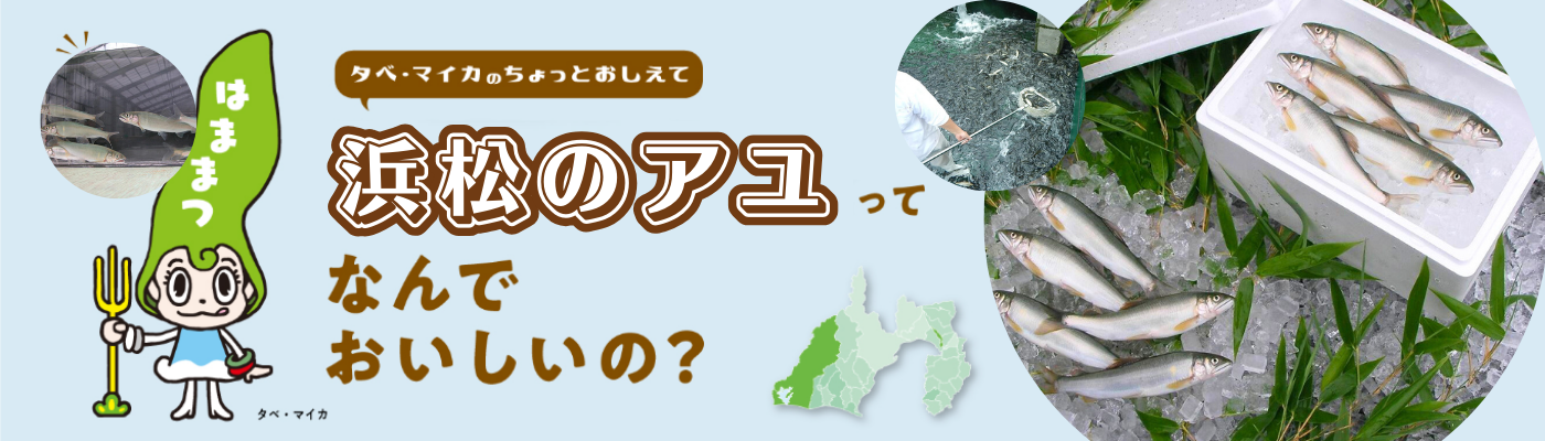 アユトップ画像