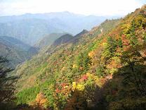 北部山地の森林