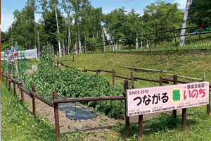 動物の排泄物を利用した堆肥から餌の野菜を作る循環型農園の例（北海道旭山動物園）