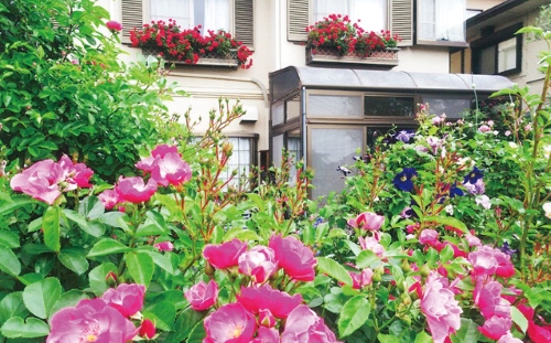 渥美たつ子さん（浜名区内野台）の庭