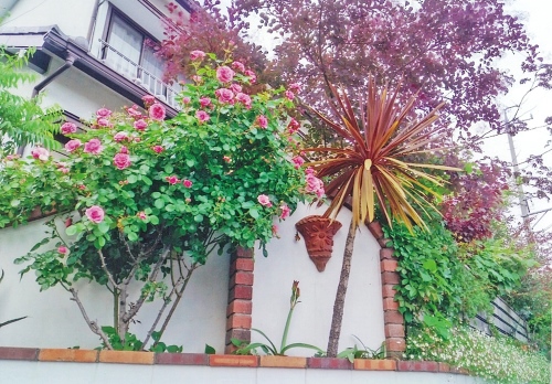 木々が風にそよぐ庭