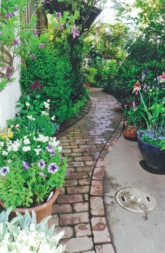 木々が風にそよぐ庭