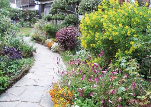 季節の花あふれる庭