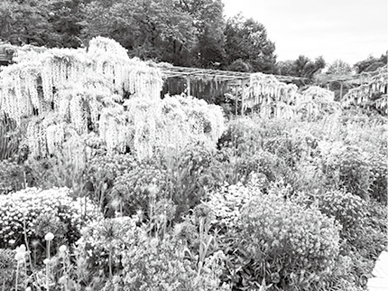 スマイルガーデン