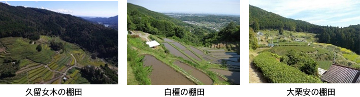 本市の棚田について
