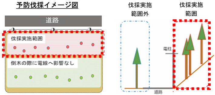 予防伐採イメージ図