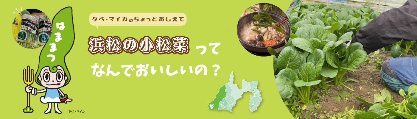 浜松の小松菜