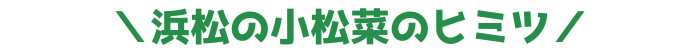 浜松の小松菜のヒミツ