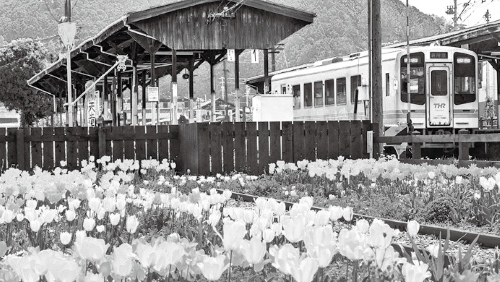 人と時代をつなぐ　花のリレー・プロジェクト（天竜浜名湖鉄道　沿線）