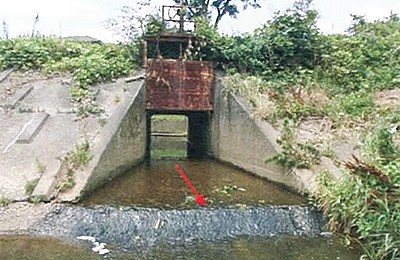 改修が予定される通称御薗川の樋門（浜名区三ヶ日町）