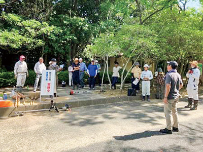細江公園の環境美化、天然記念物の保護活動（細江まちづくり協議会）