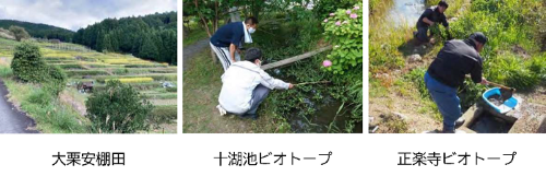 協定締結の実績