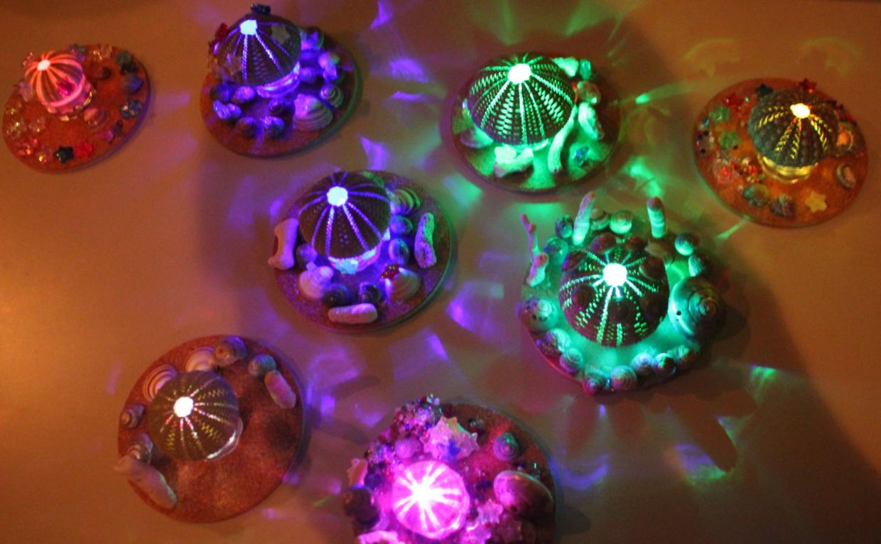 ウニランタンの写真