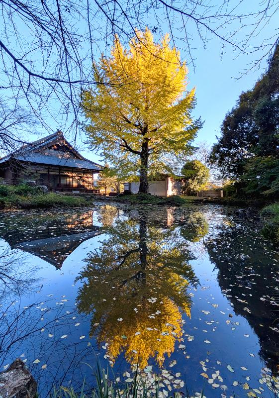 写真プリント部門賞1