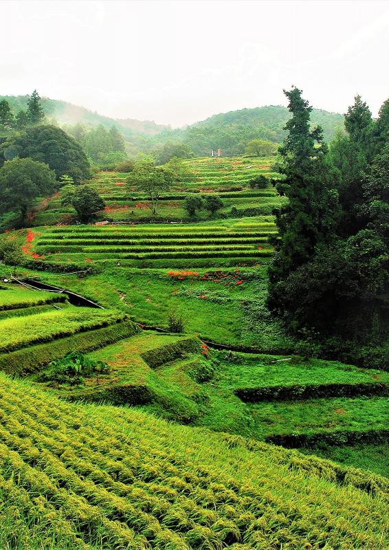 写真プリント部門賞3