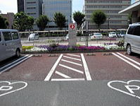 写真：思いやり駐車場