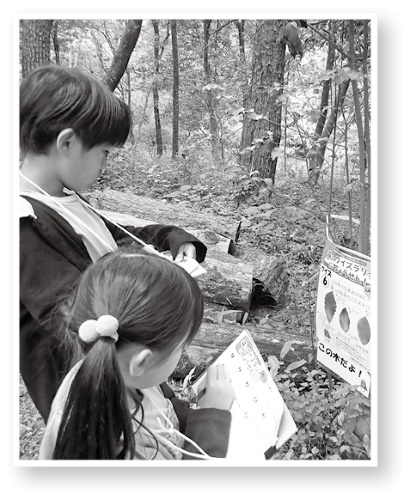 森のクイズラリーにちょうせん！