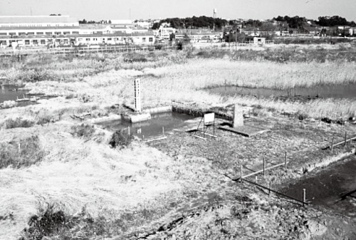 発掘調査前の伊場遺跡（1971［昭和46］年ごろ）