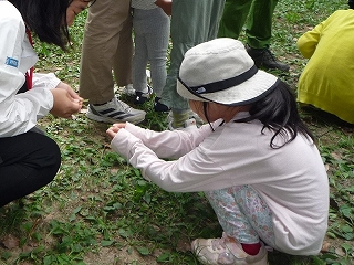 葉っぱでバトル