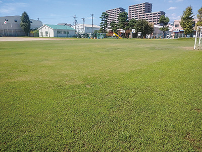 芝生化されたグラウンド（佐藤小学校）