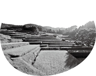 久留女木の棚田