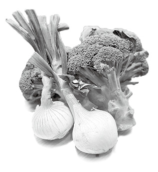 ブロッコリーと新玉ネギ