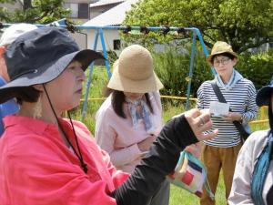 県居南公園に行き、野草の観察