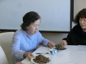 先生から、野草のプレゼント