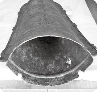 内側をのぞいてみよう