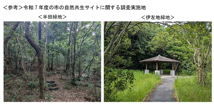 令和7年度の市の自然共生サイトに関する調査実施地