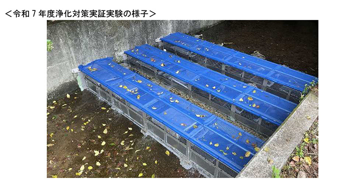 令和7年度浄化対策実証実験の様子