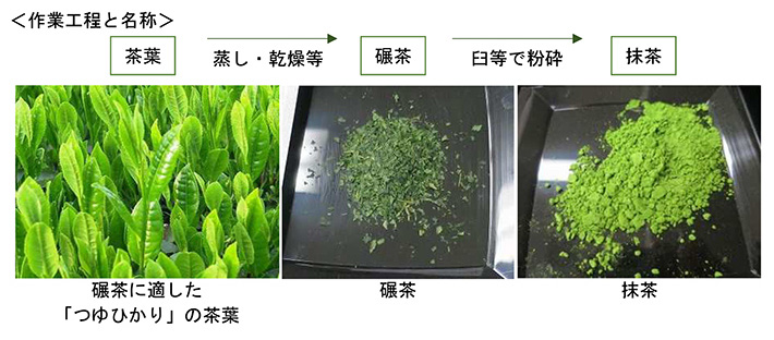 作業工程と名称