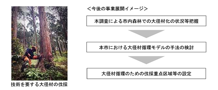 今後の事業展開イメージ