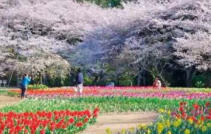 フラワーパーク